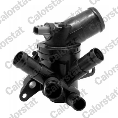 Thermostat, coolant